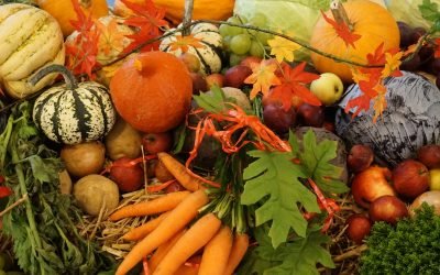 CÓMO CUIDARNOS EN OTOÑO