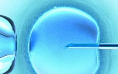 ACUPUNTURA EN LA FECUNDACIÓN IN VITRO (FIV)